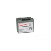 Exide GNB Sprinter P12V875-12V 41Ah VRLA Battery | saimea.com